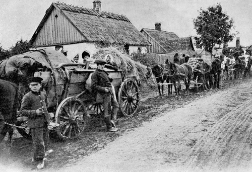 Любов ЖВАНКО. БІЖЕНСТВО ПЕРШОЇ СВІТОВОЇ ВІЙНИ: УКРАЇНСЬКИЙ ВИМІР. Частина І.