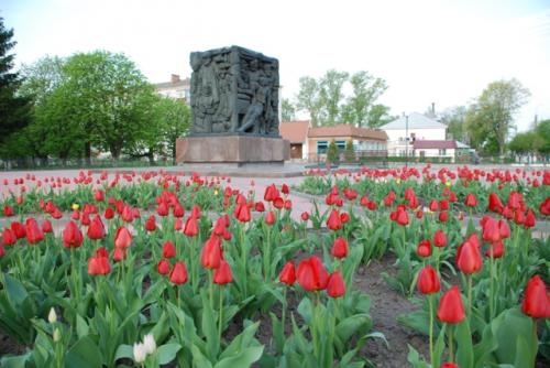 2013 02 29 koryukivka