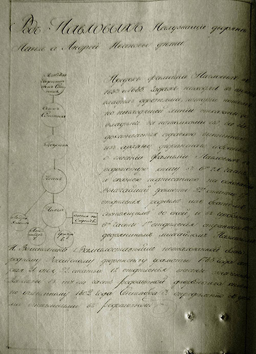 запис про внесення до родовідної дворянської книги Павла і Андрія Павлових